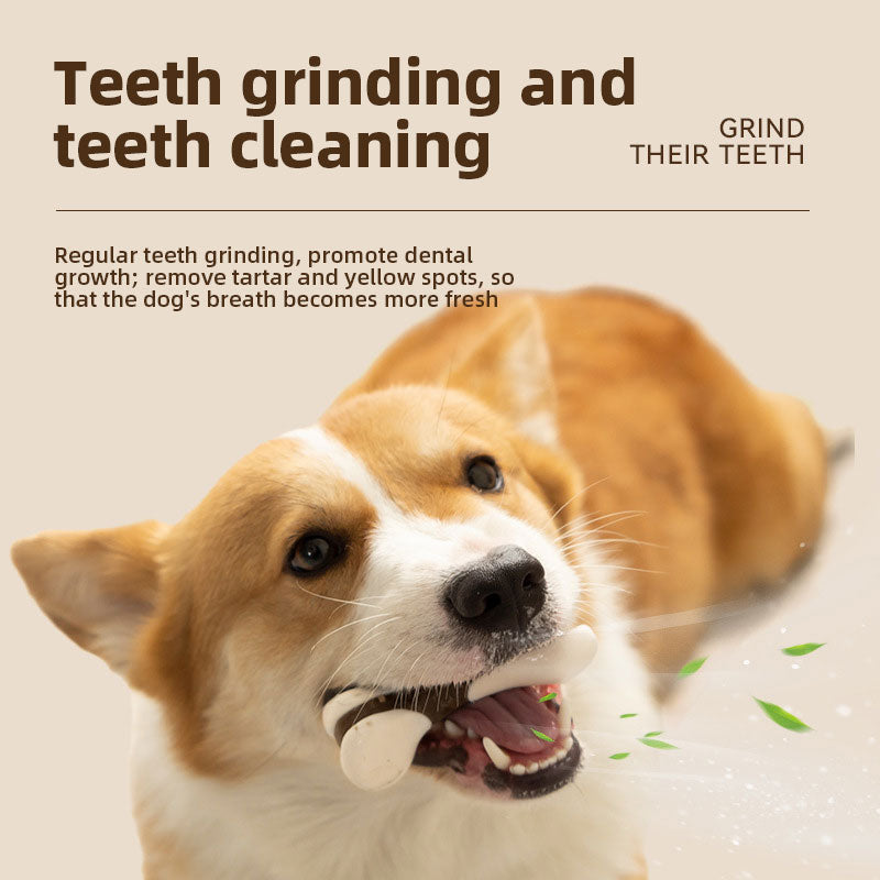 Pet Toys Eat Play Bones Teeth Cleaning Teeth Grinding Stick Cowhide Stick Dog Bite Gel Hind Leg Bone Chew Dog Bite Toys
