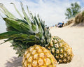 Pineapple Driftwood Fragrance Oil