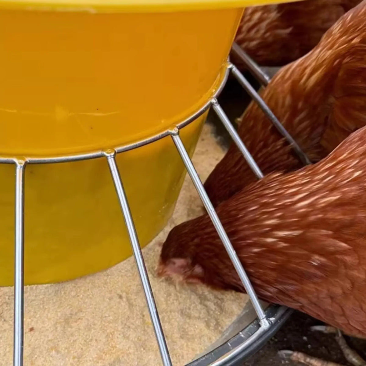 Round Fowl Feeder Large Capacity Fowl Feeder Chicken Feeding Trough Easy Installation Automatic Nourishment Container Anti-Perch