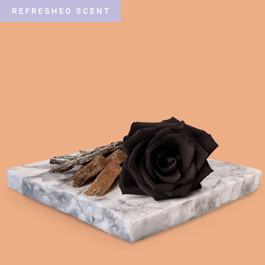 Black Rose & Oud - RE Fragrance Oil