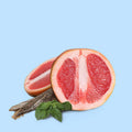 Bleu Type - Fragrance Oil