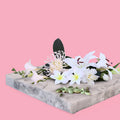 Bvlgari Type - Fragrance Oil