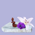 Blooming Amber – Fragrance Oil