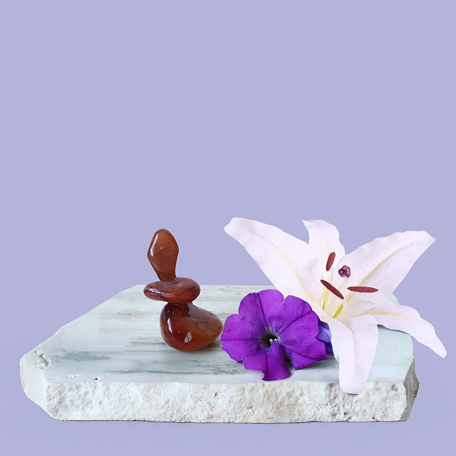Blooming Amber – Fragrance Oil