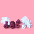 Coach Type - Fragrance Oil