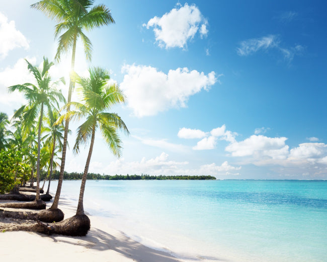 Hawaiian Breeze Fragrance Oil