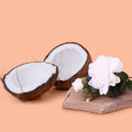 Kayali Vanilla Coco 21 Type - Fragrance Oil