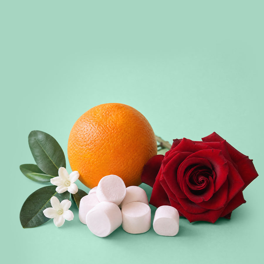 Love Don't Be Shy Type - Fragrance Oil