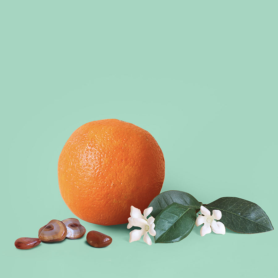 Paradoxe Type - Fragrance Oil