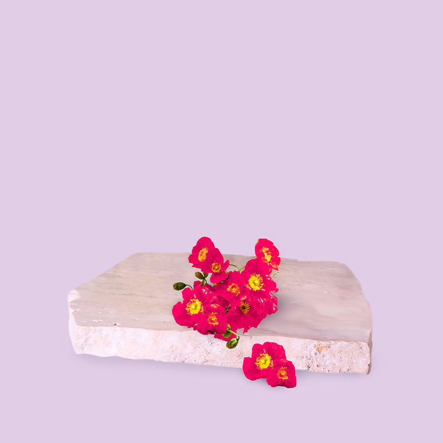 Pink Amber Poppy -  Fragrance Oil