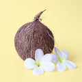 Sun Bleached Denim - Fragrance Oil