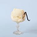 Simply Vanilla - Fragrance Oil