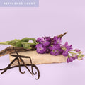 Vanilla, Patchouli & Sandalwood - RE Fragrance Oil