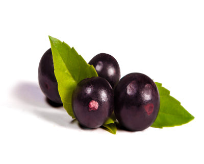Acai Blossom Fragrance Oil