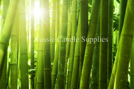 Bamboo Musk Fragrance Oil