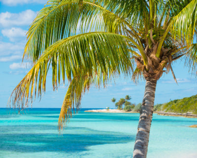 Bahama Breeze Fragrance Oil