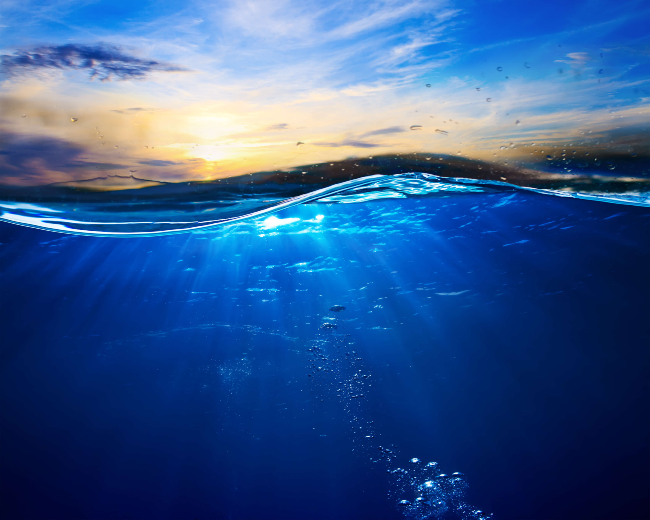 Brazilian Waters Fragrance Oil