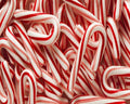 Candy Cane Fragrance Oil