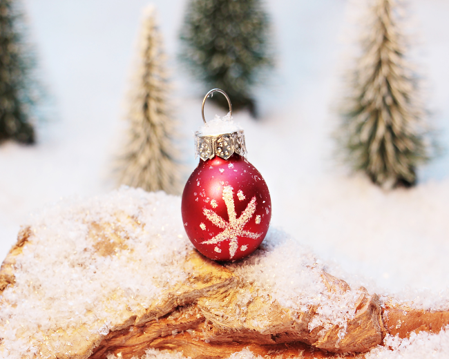 Christmas Sandalwood Fragrance Oil