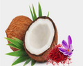 Coconut Saffron Fragrance Oil