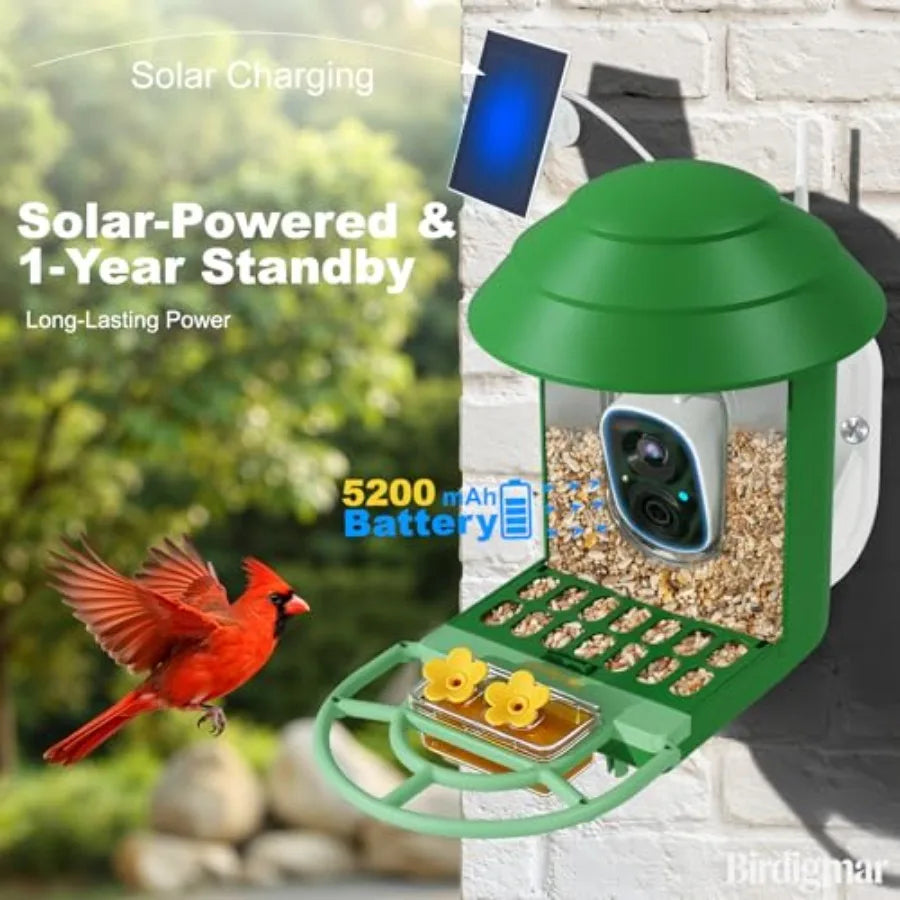 Bird Feeder with Camera for Outdoor Bird Watching, ABS Plastic, Green, Smart Solar Power, AI Identification 2.5K Ultra HD Video