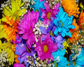 Flowerbomb Fragrance Oil