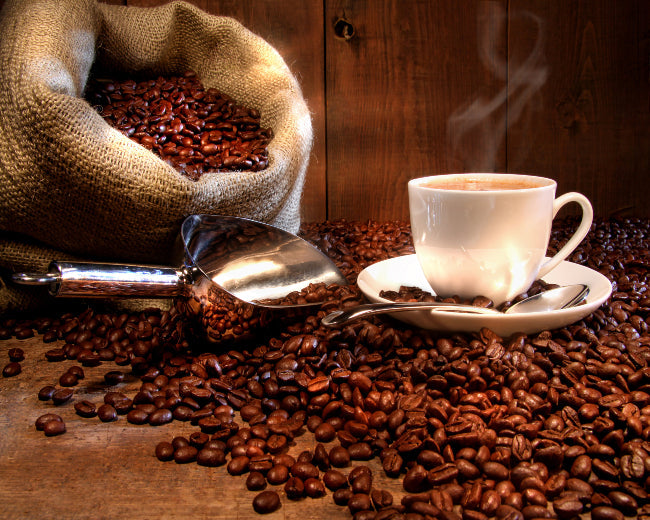 Fresh Coffee Fragrance Oil
