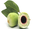 Kakadu Plum Fragrance Oil