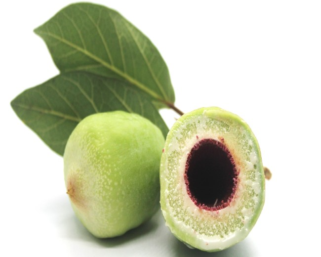 Kakadu Plum Fragrance Oil