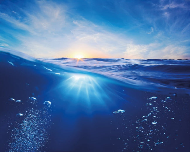 Nautical Splash Fragrance Oil