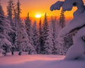 Nordic Pine Fragrance Oil