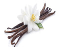 Oriental Vanilla Fragrance Oil
