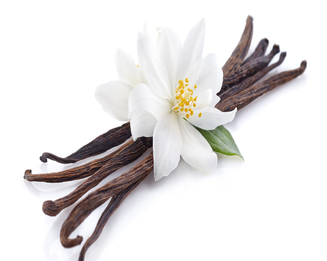 Oriental Vanilla Fragrance Oil