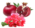 Pomegranate & Geranium Fragrance Oil