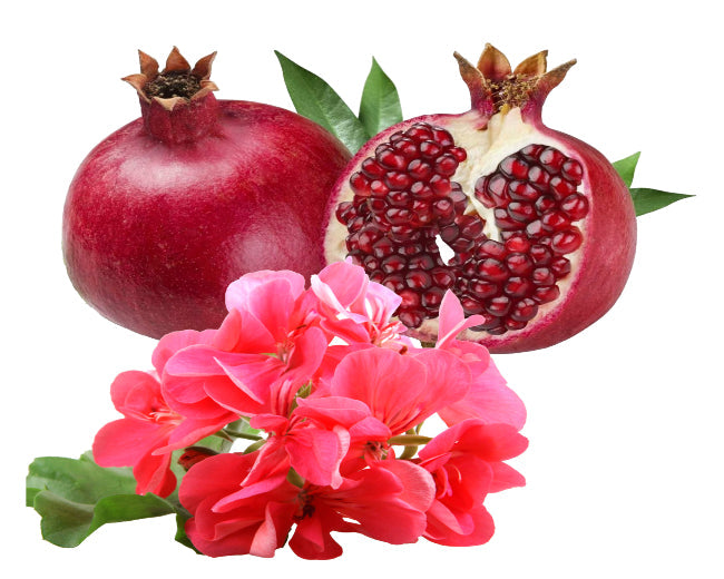 Pomegranate & Geranium Fragrance Oil