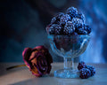 Purple Blackberry Rose Fragrance Oil