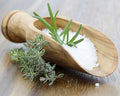 Sea Salt & Citronella Fragrance Oil