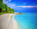 Tropical Island Holiday Fragrance Oil