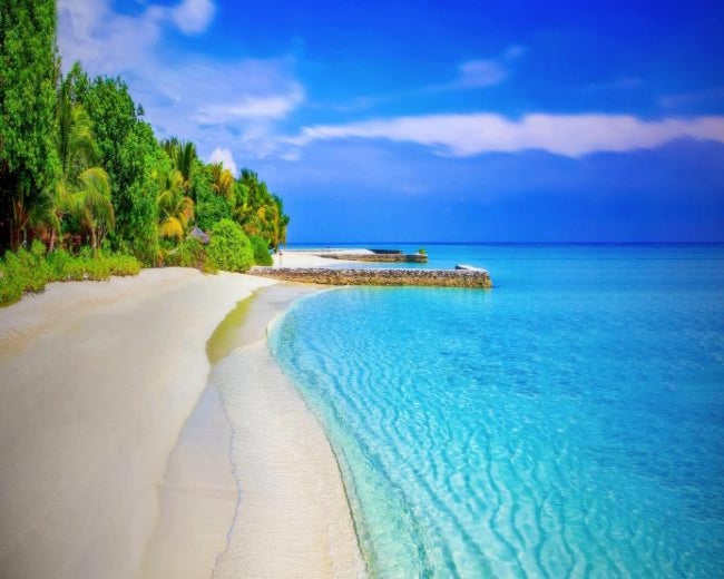 Tropical Island Holiday Fragrance Oil