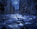 Winter Nights fragrance Oil