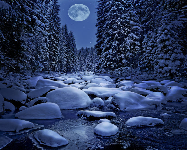 Winter Nights fragrance Oil