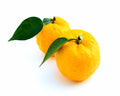 Yuzu Fruit